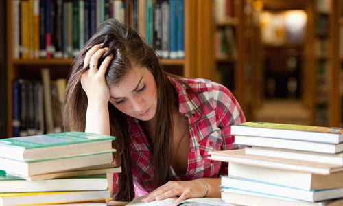 courses 1 Introduction LearnPress – LMS plugin